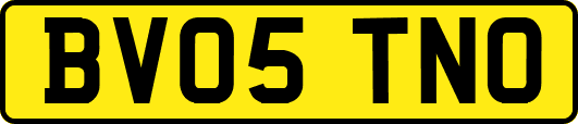BV05TNO