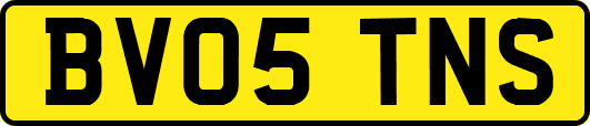 BV05TNS