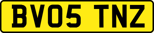 BV05TNZ