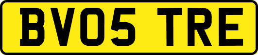 BV05TRE