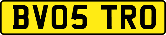 BV05TRO