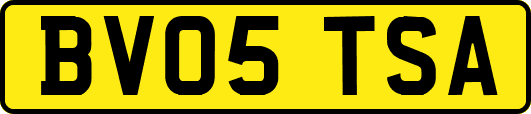 BV05TSA