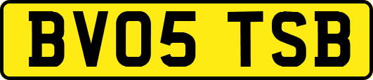 BV05TSB