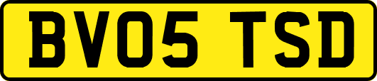 BV05TSD