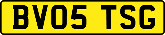 BV05TSG