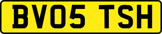 BV05TSH