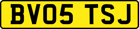 BV05TSJ