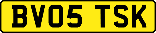 BV05TSK