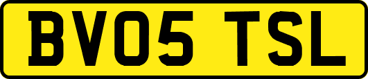 BV05TSL