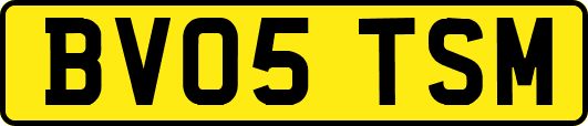 BV05TSM