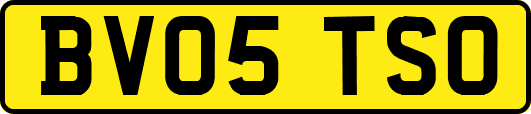BV05TSO