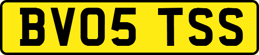 BV05TSS