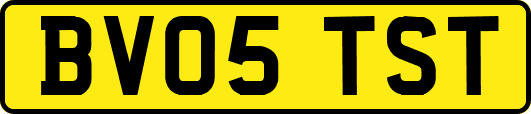 BV05TST
