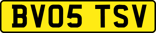 BV05TSV