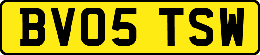 BV05TSW