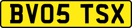 BV05TSX
