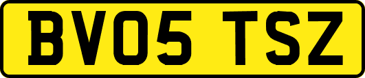 BV05TSZ