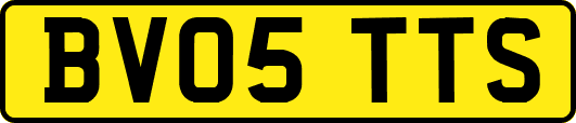 BV05TTS