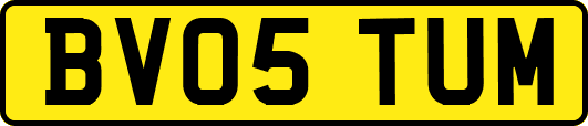 BV05TUM