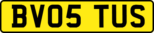 BV05TUS