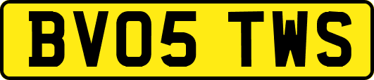 BV05TWS