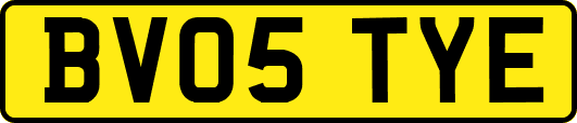 BV05TYE