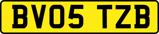 BV05TZB