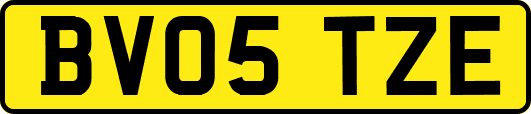 BV05TZE