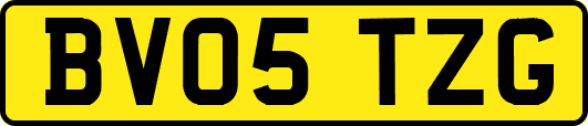 BV05TZG