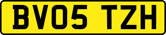 BV05TZH