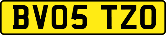 BV05TZO