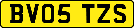 BV05TZS