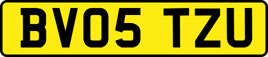 BV05TZU
