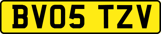 BV05TZV