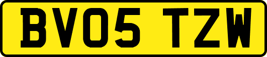 BV05TZW