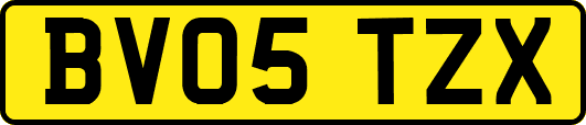 BV05TZX