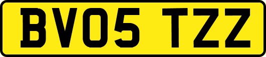 BV05TZZ