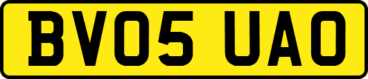 BV05UAO
