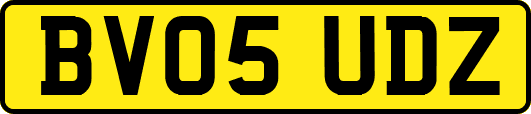 BV05UDZ