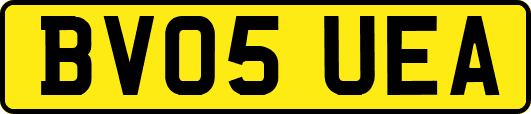 BV05UEA