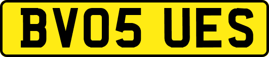BV05UES