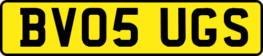BV05UGS