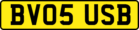 BV05USB