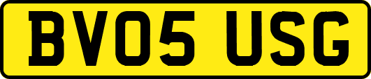 BV05USG