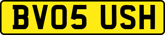 BV05USH