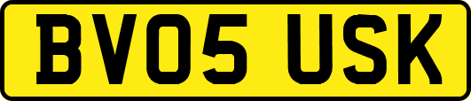 BV05USK
