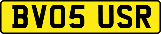 BV05USR