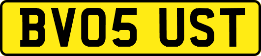 BV05UST