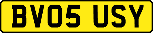 BV05USY