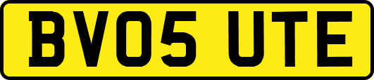 BV05UTE
